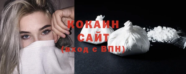 дурь Ельня