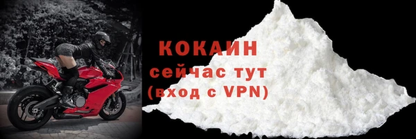 прущие грибы Лабытнанги