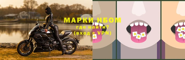 ПСИЛОЦИБИНОВЫЕ ГРИБЫ Пестово