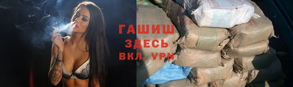гашик Краснослободск