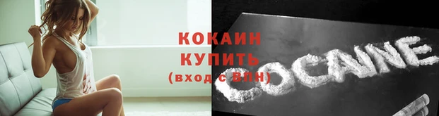 a pvp Елизово