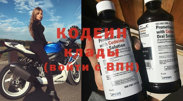 дурь Ельня