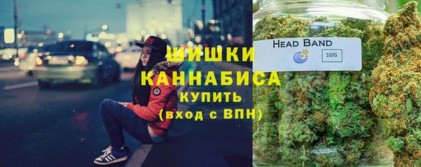 ПСИЛОЦИБИНОВЫЕ ГРИБЫ Пестово