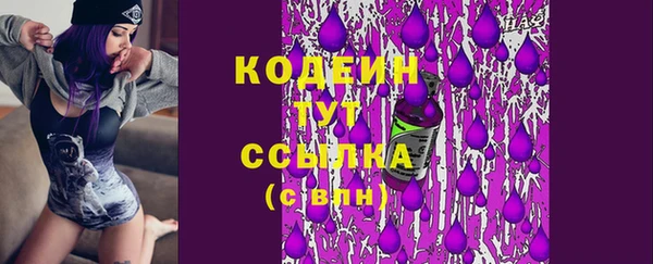 дурь Ельня