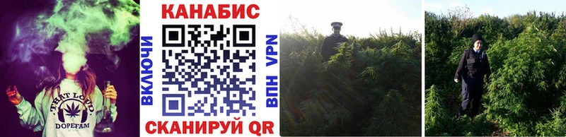 Бошки марихуана гибрид  Канск 